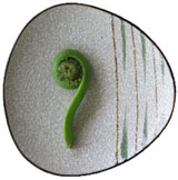 Evelyn S. Lamprey